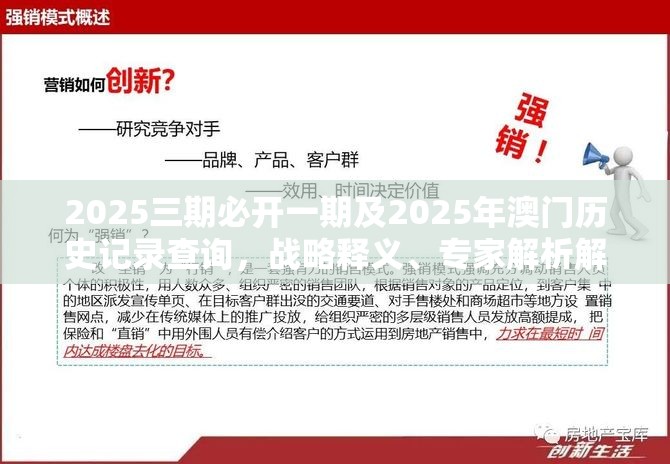 2025三期必开一期及2025年澳门历史记录查询，战略释义、专家解析解释与落实,留心欺诈性营销