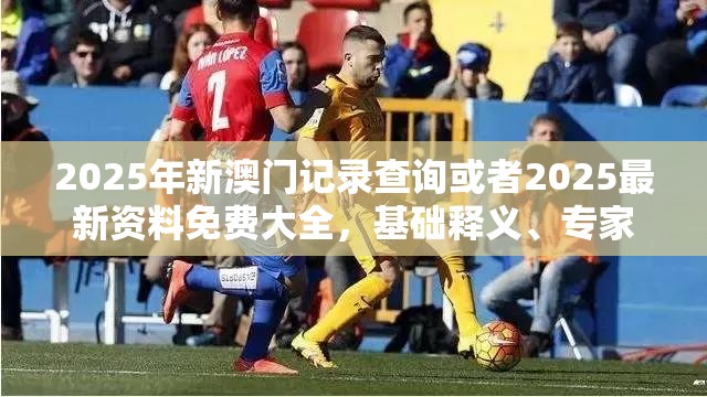 2025年新澳门记录查询或者2025最新资料免费大全，基础释义、专家解析解释与落实?杜绝虚假诱导词