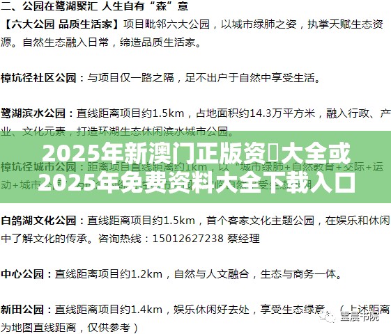 2025年新澳门正版资枓大全或2025年免费资料大全下载入口，营销释义、专家解析解释与落实,小心言过其实推广
