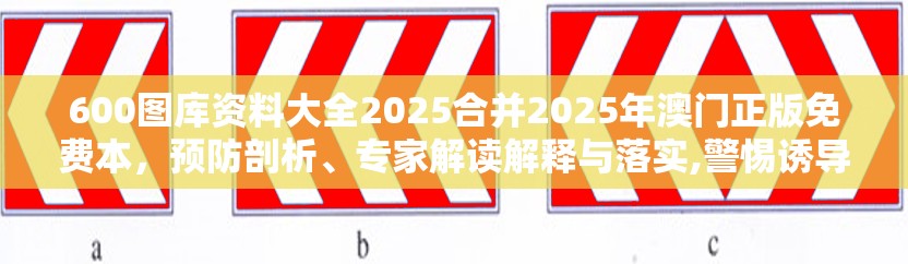 600图库资料大全2025合并2025年澳门正版免费本，预防剖析、专家解读解释与落实,警惕诱导性陷阱