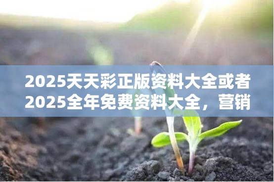 2025天天彩正版资料大全或者2025全年免费资料大全，营销释义、专家解析解释与落实,小心言过其实推广